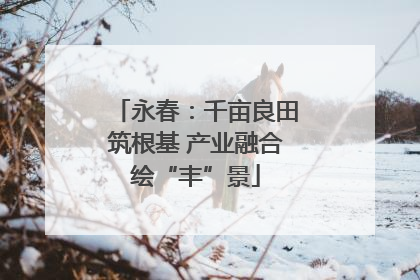 永春：千亩良田筑根基 产业融合绘“丰”景